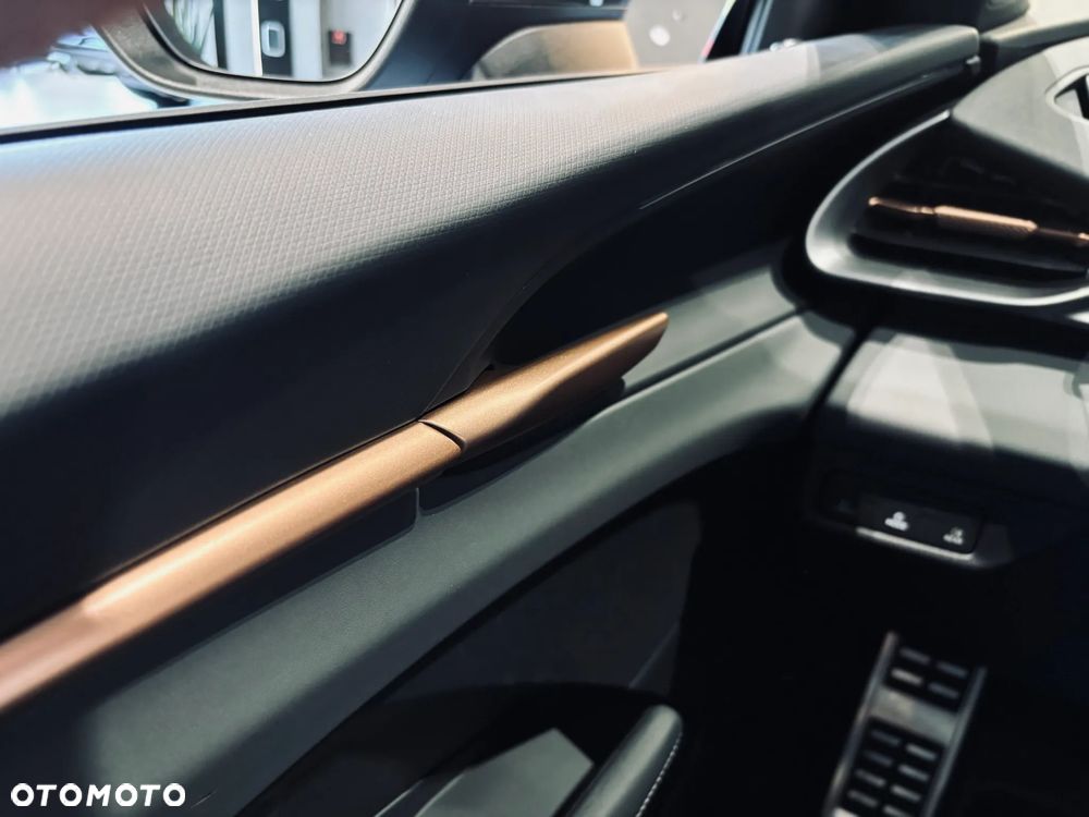 Cupra Terramar 2.0 TSI 4Drive DSG - 20