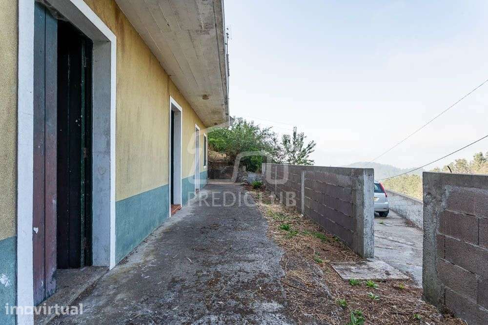 Moradia T3 - Câmara de Lobos - Grande imagem: 5/24