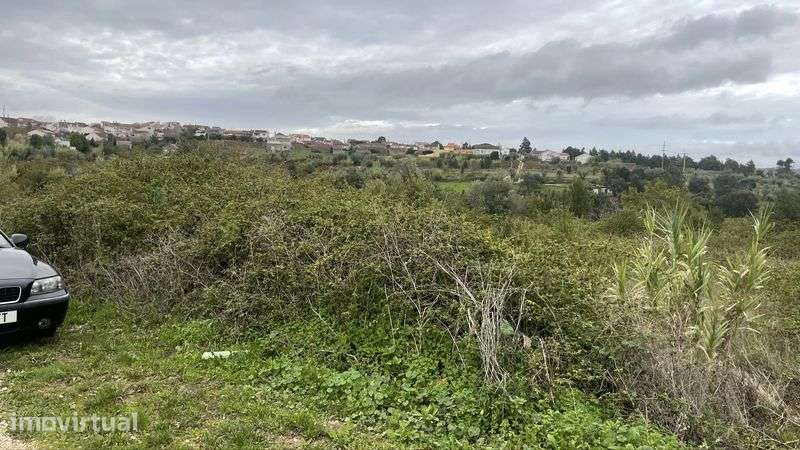 Terreno 1000m2 aorx - Grande imagem: 3/4
