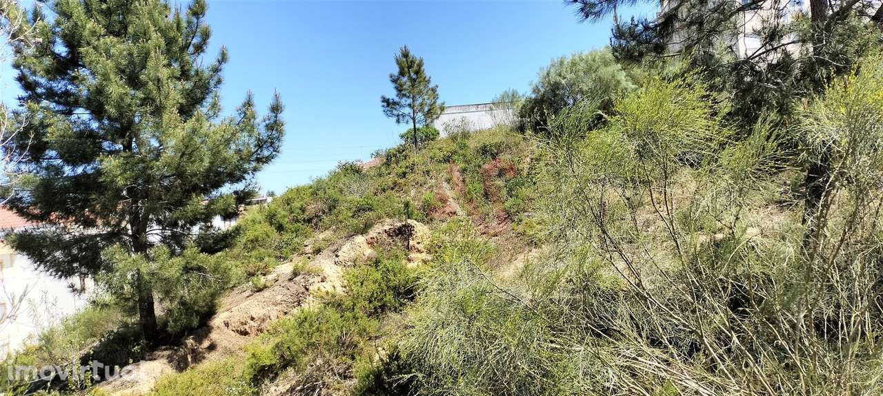 Lote de terreno a 3 kms da cidade de Santarém, no coração da Lezíria R - Grande imagem: 2/7