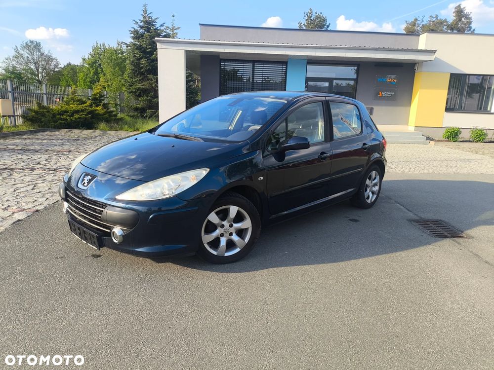 Peugeot 307 1.6 - 2
