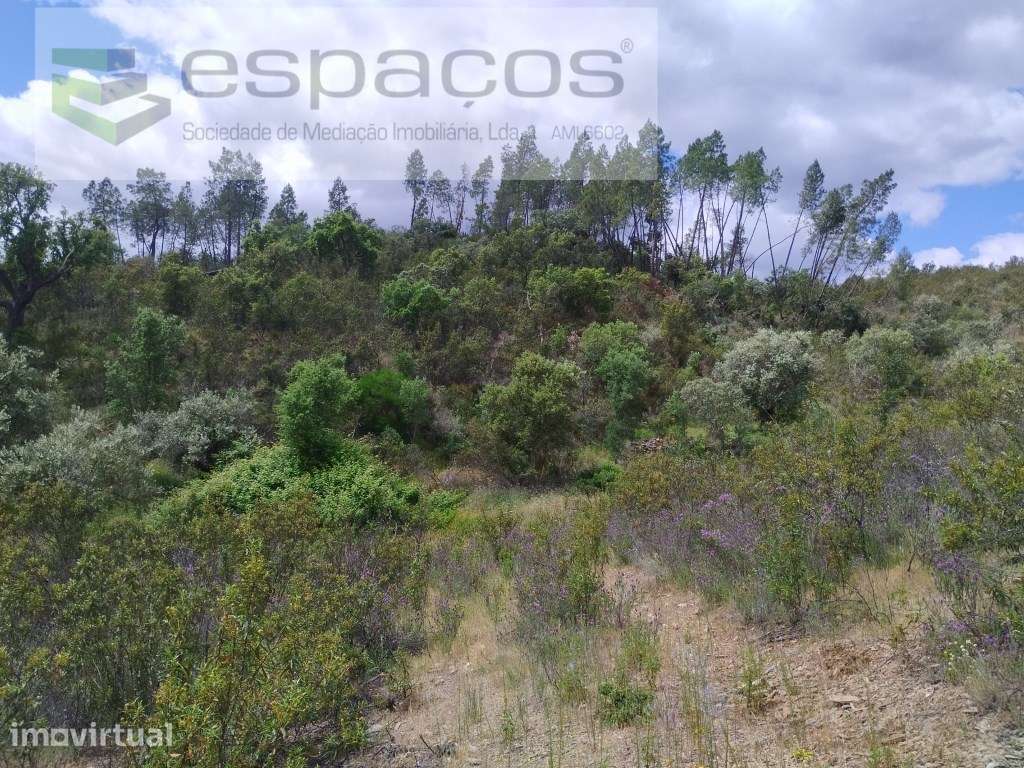Terrenos Monte Fidalgo - Grande imagem: 3/28