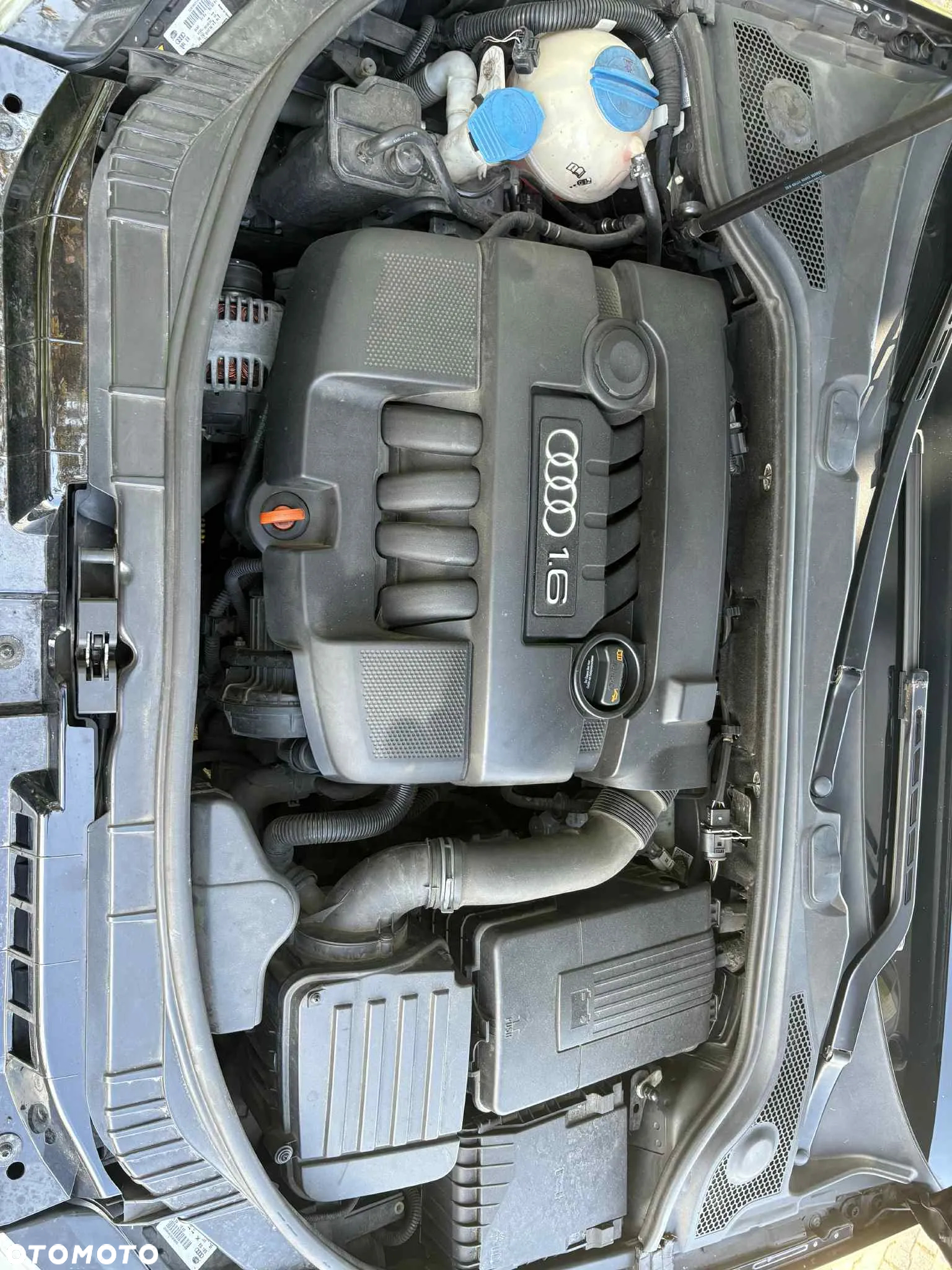 Audi A3 1.6 Attraction - 8
