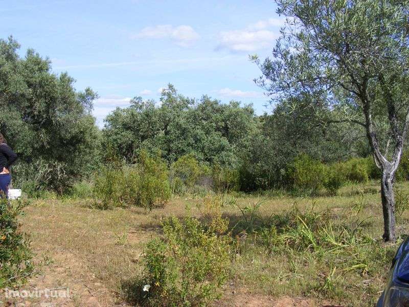 Terreno rústico - Alcoutim - Grande imagem: 3/6