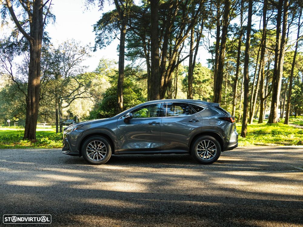 Lexus NX 350h Executive+ - 3