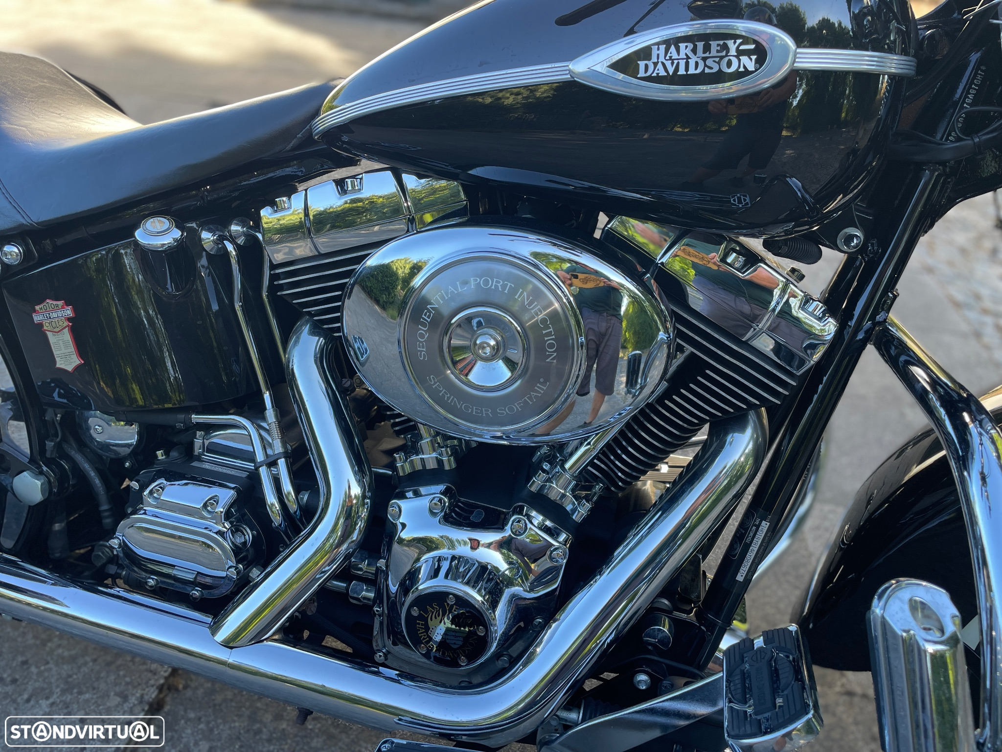 Harley-Davidson FLSTS Springer - 9