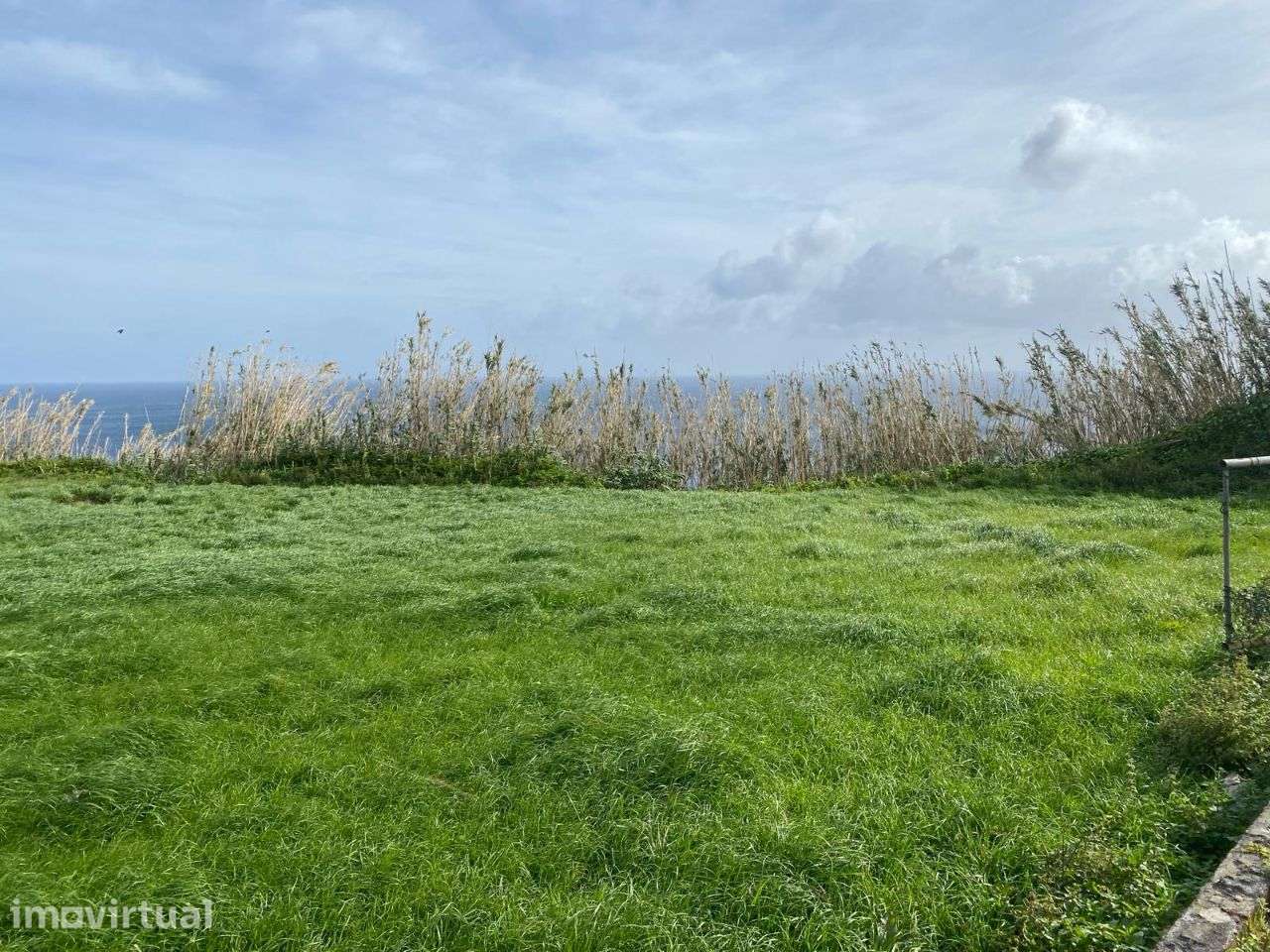 Terreno com vista ao norte de São Miguel, nas Figueiras - Grande imagem: 2/9