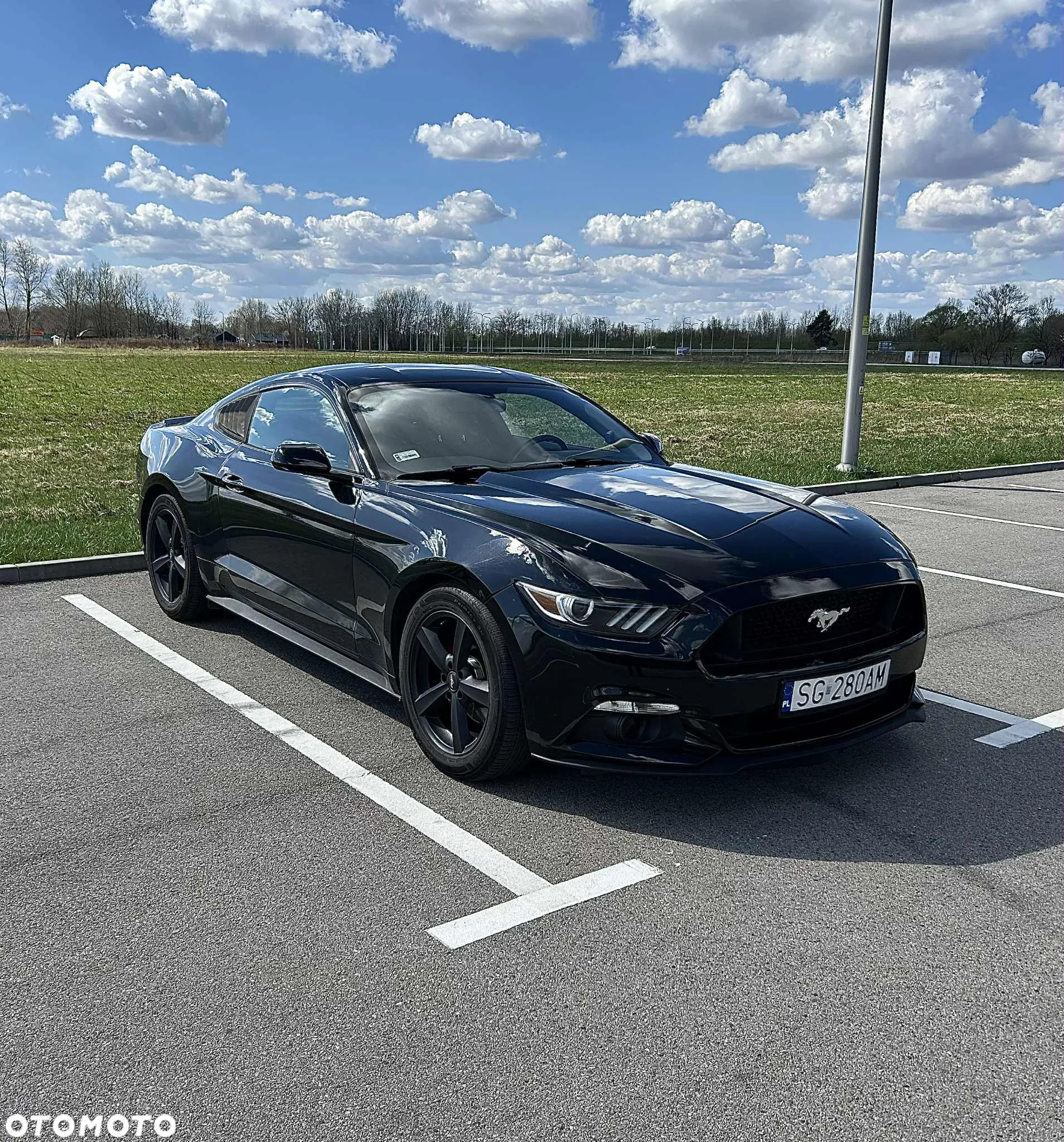 Ford Mustang 3.7 V6 - 8