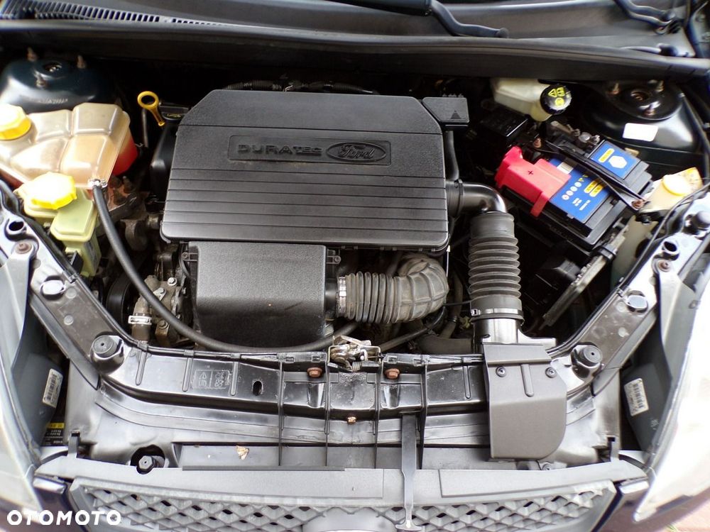Ford Fiesta - 25