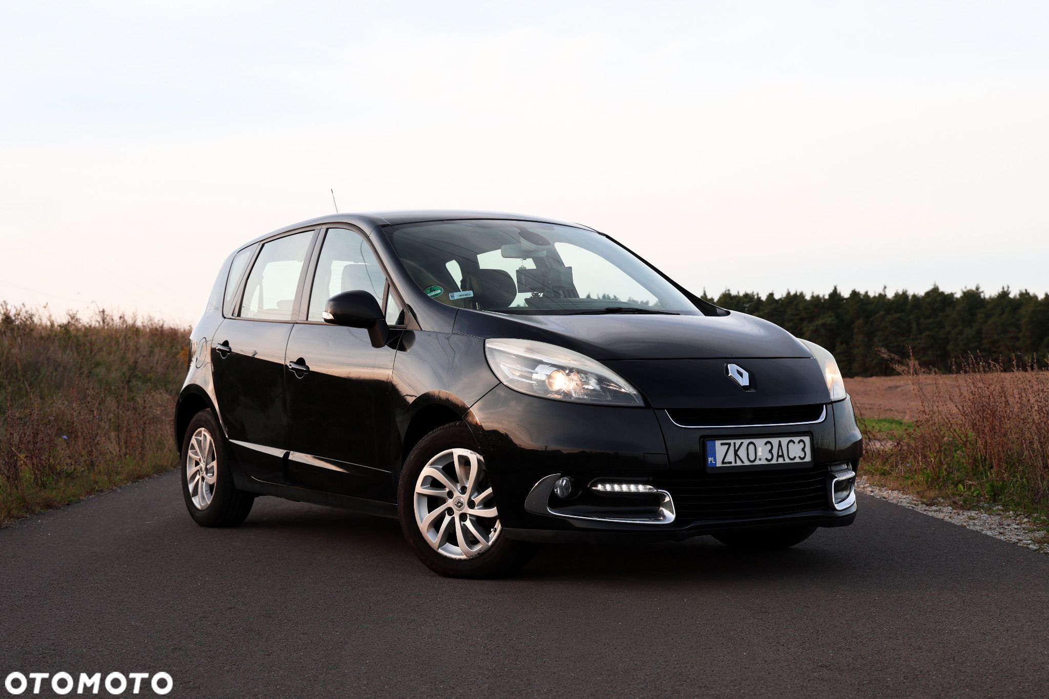 Renault Scenic - 1