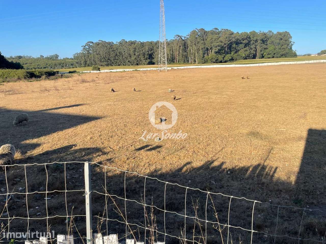 Terreno Agrícola com 24.404 m² em Árvore, Vila do Conde - Grande imagem: 2/16