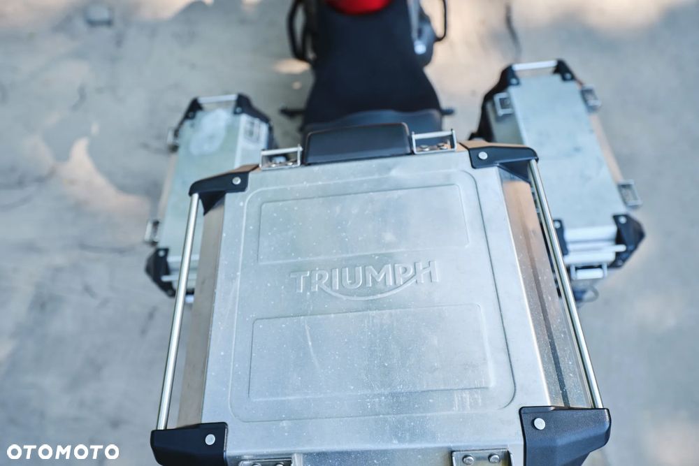 Triumph Tiger - 23