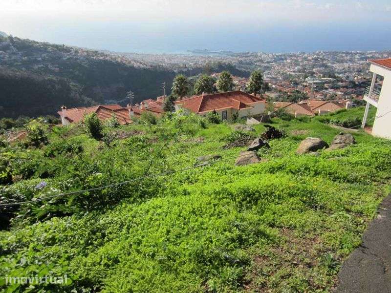 Terreno com vista sobre a baía do Funchal (São Roque) - Grande imagem: 3/4