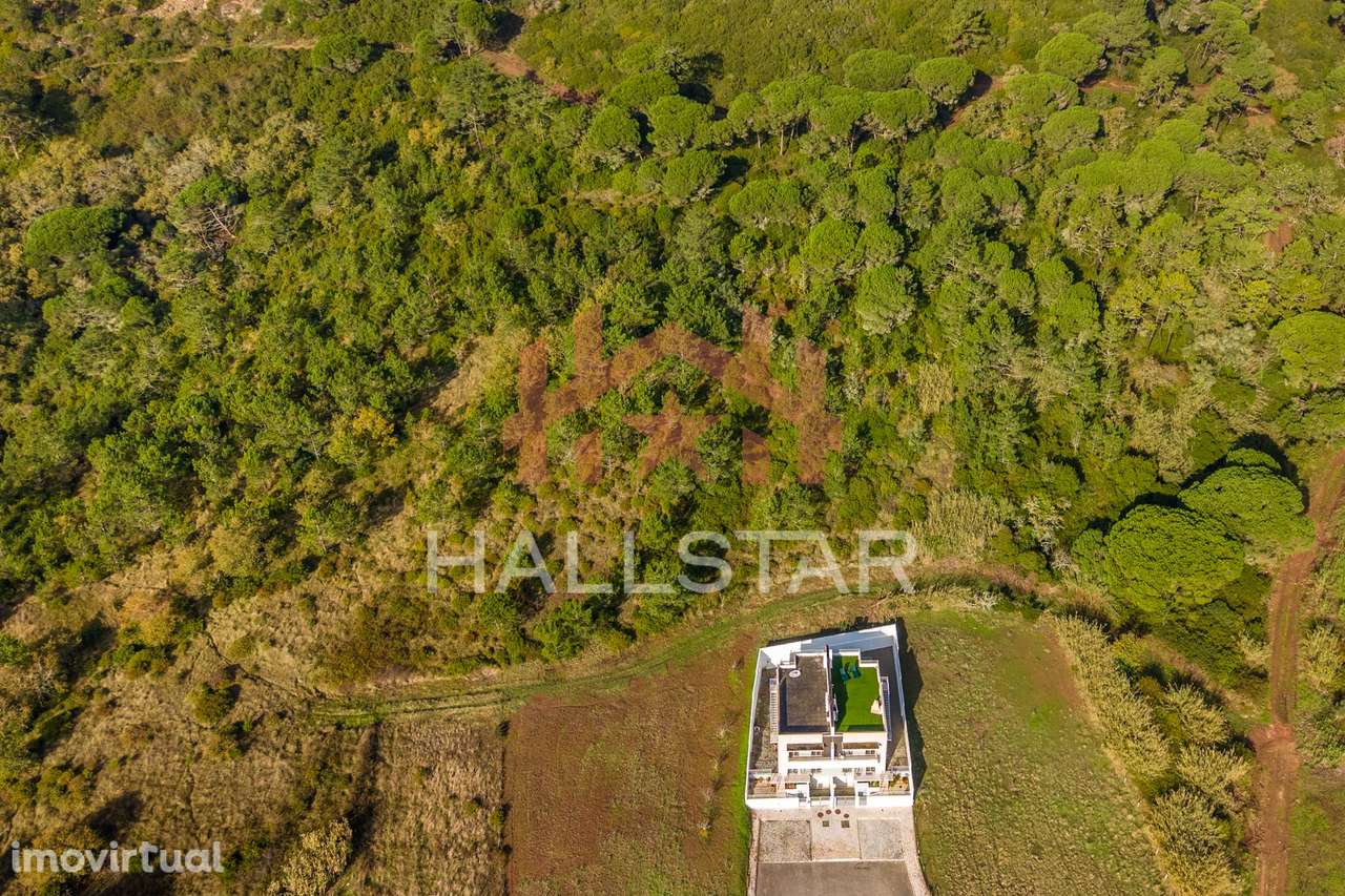 Terreno Exclusivo / Vistas Amplas / Famalicão - Grande imagem: 2/23