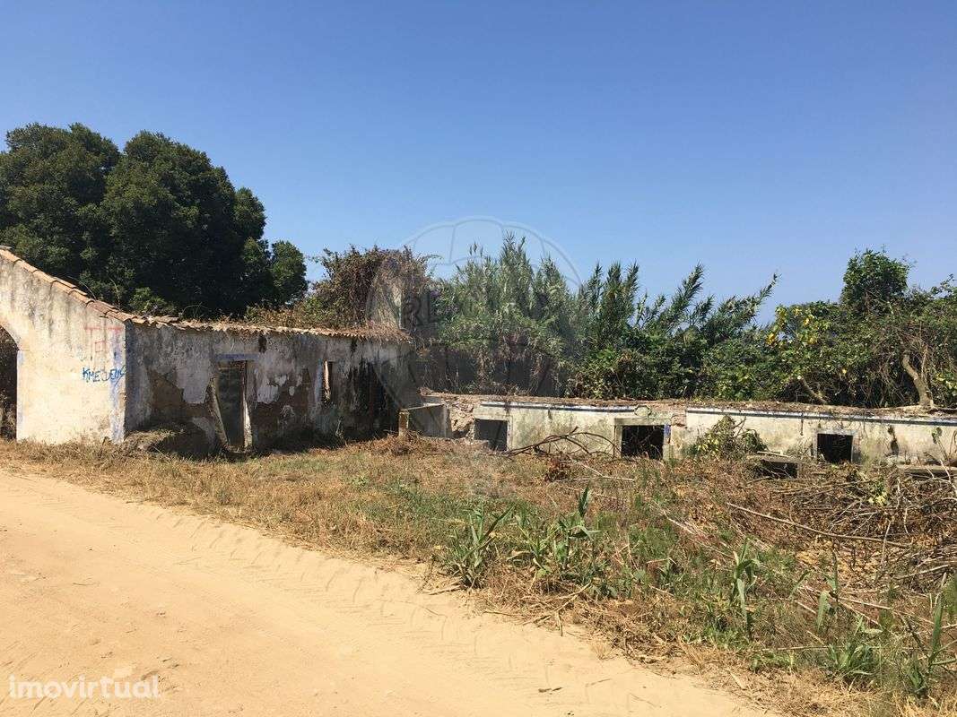 Terreno  para venda - Grande imagem: 4/16