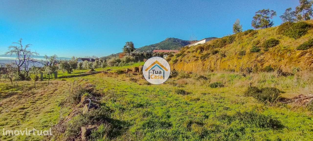 Terreno Rustico em Tondela - Grande imagem: 2/15