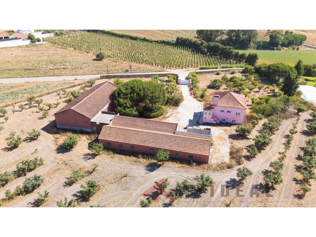 Quinta com 40.000 m² - Privacidade, Natureza e Potencial no Oeste -... - Grande imagem: 2/60