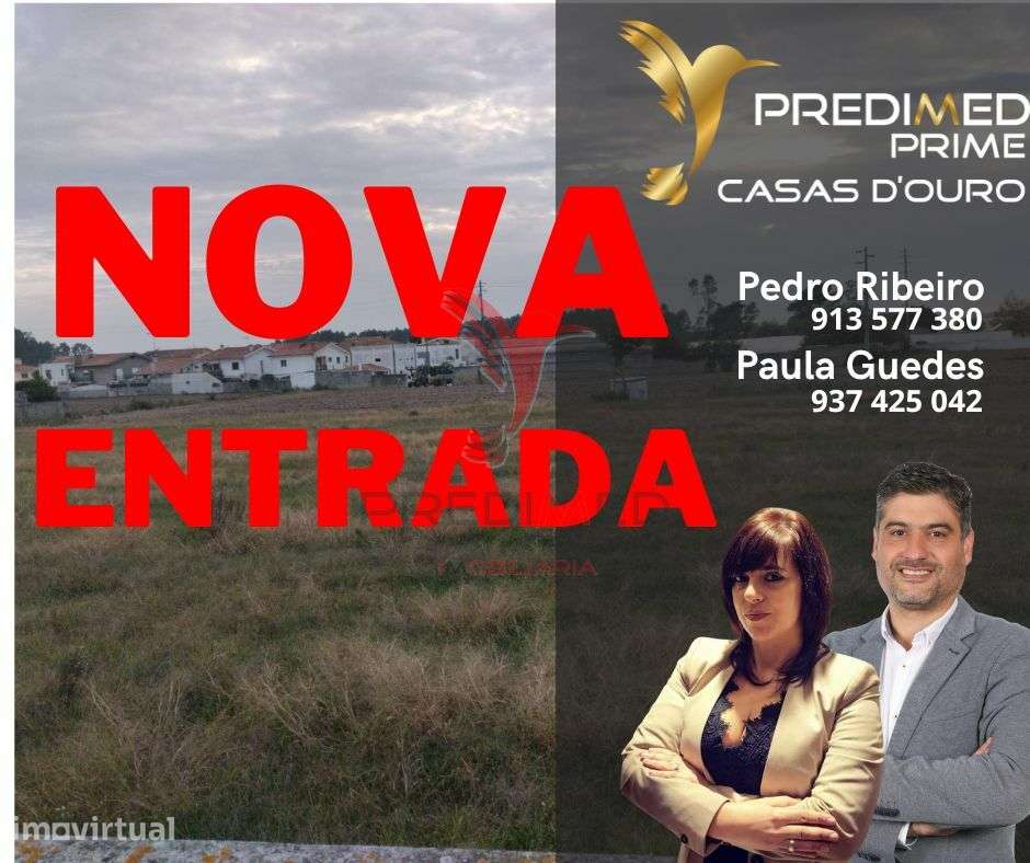 NOVIDADE - BEIRIZ, PÓVOA DE VARZIM
