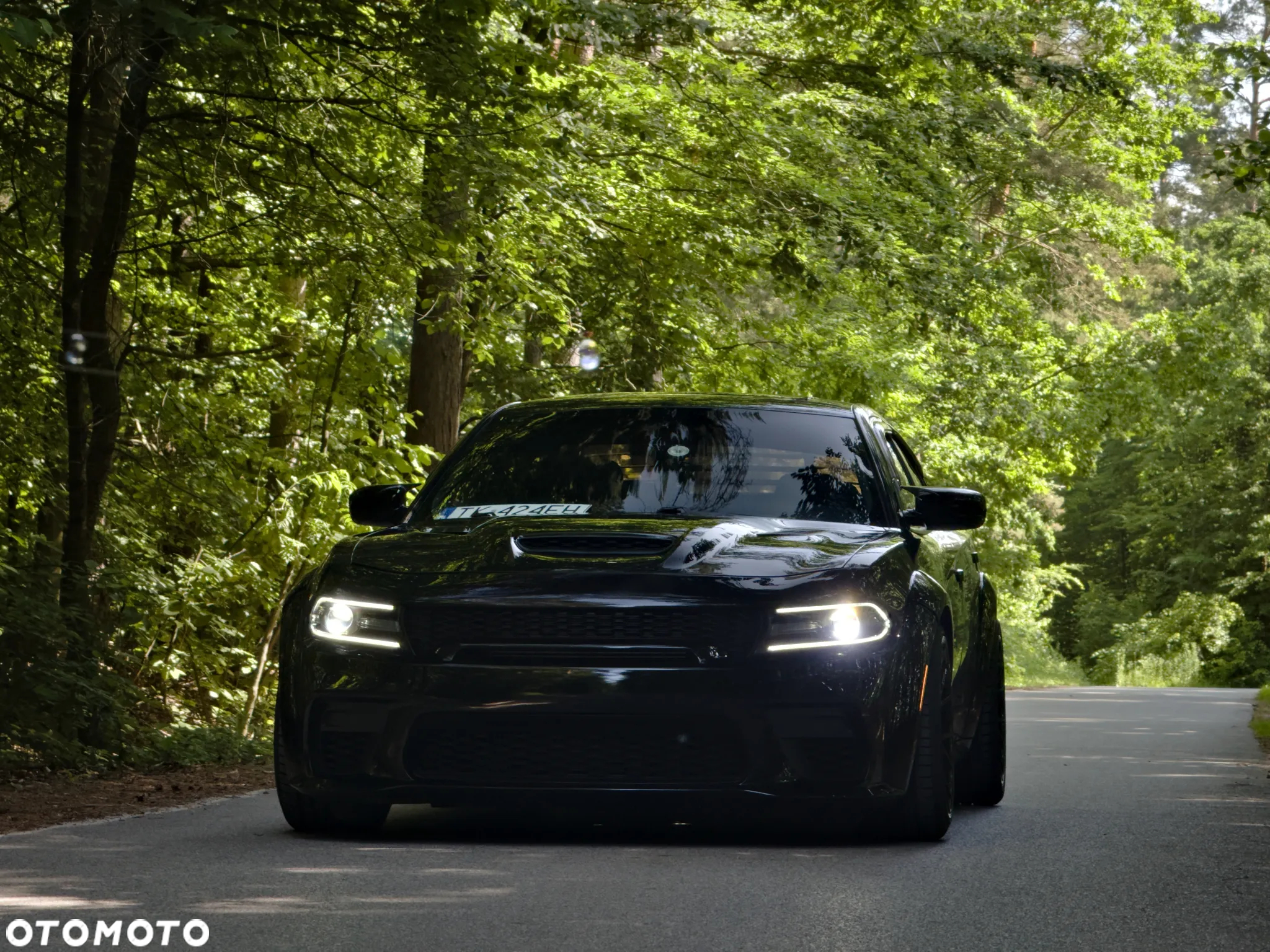 Dodge Charger 6.4 Scat Pack Widebody - 10