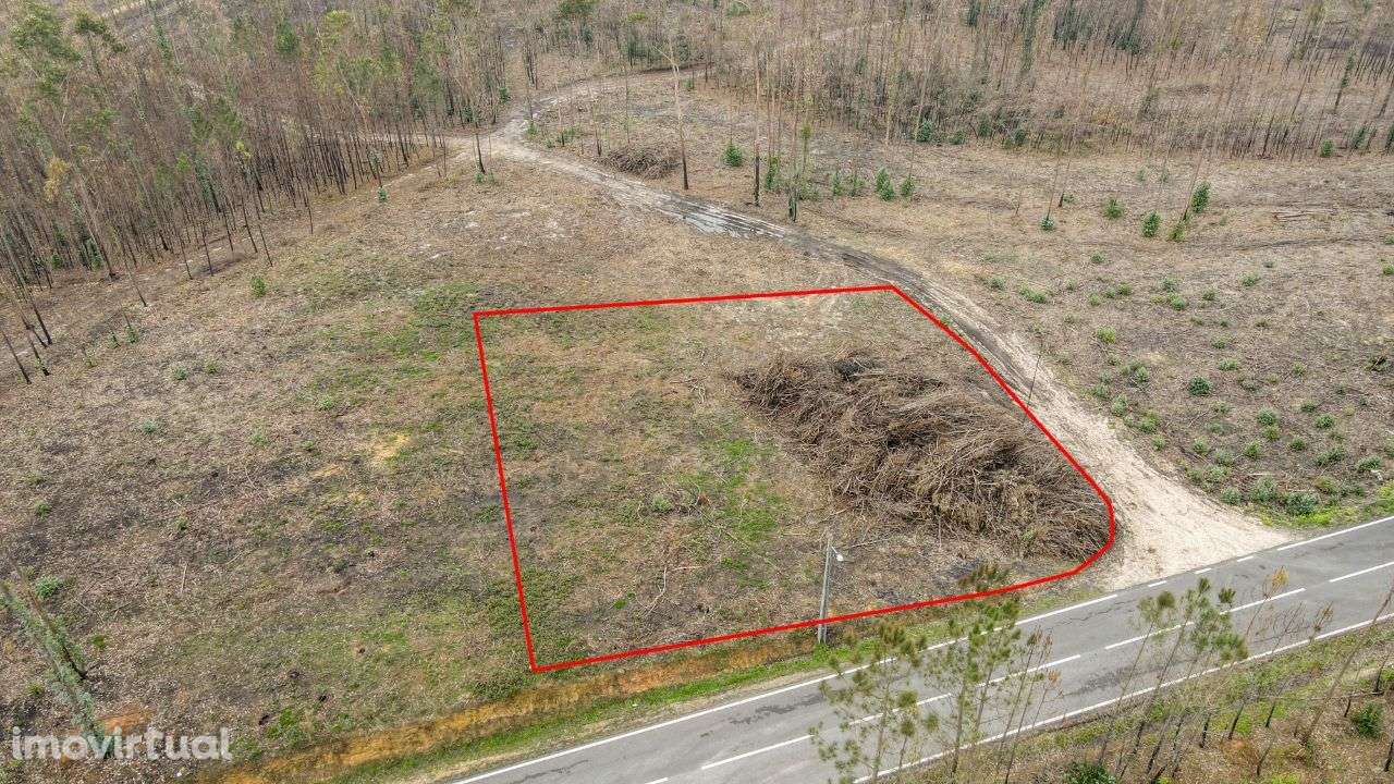 Terreno Rústico em Matas, Ourém! - Grande imagem: 3/12