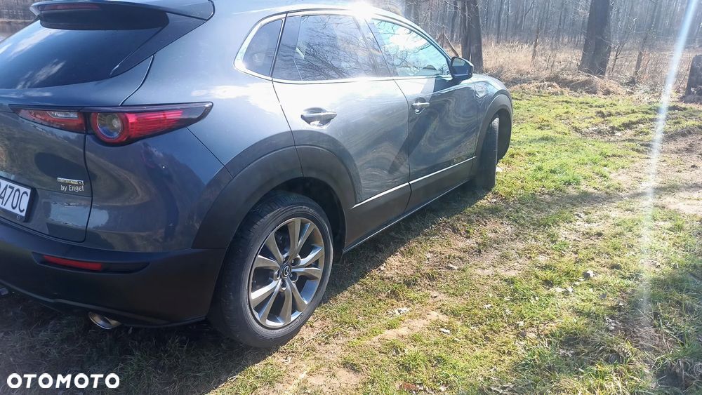 Mazda CX-30 2.0 mHEV Hikari 2WD - 3