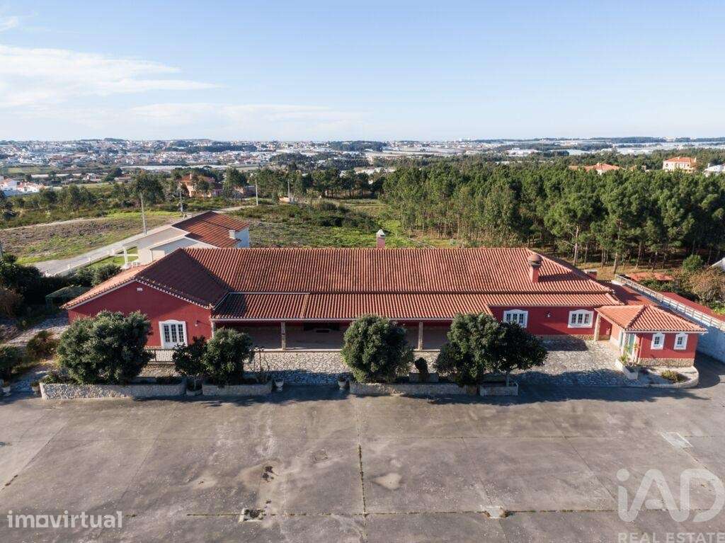 Quinta T2 em Silveira de 926,00 m2 - Grande imagem: 2/28