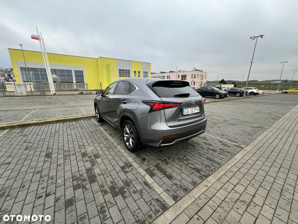 Lexus NX 300h F Sport AWD - 22