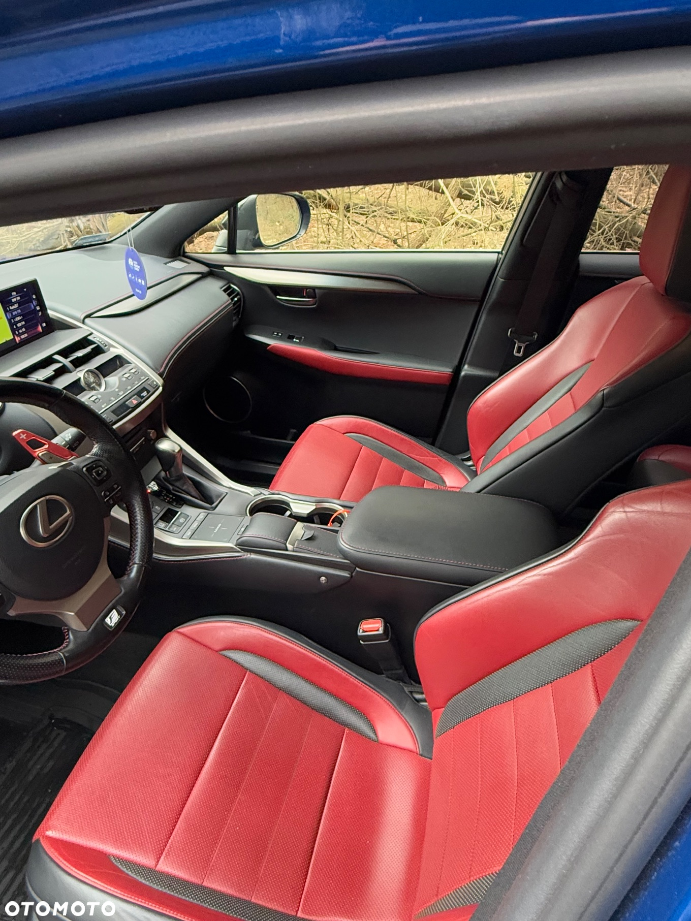 Lexus NX 300 F Sport AWD - 15