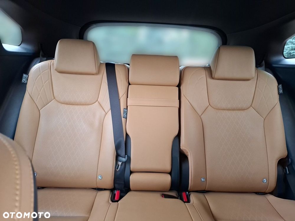 Lexus RX - 34