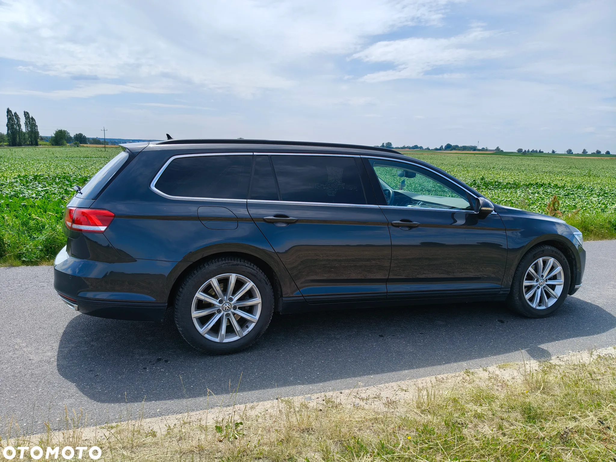 Volkswagen Passat - 5