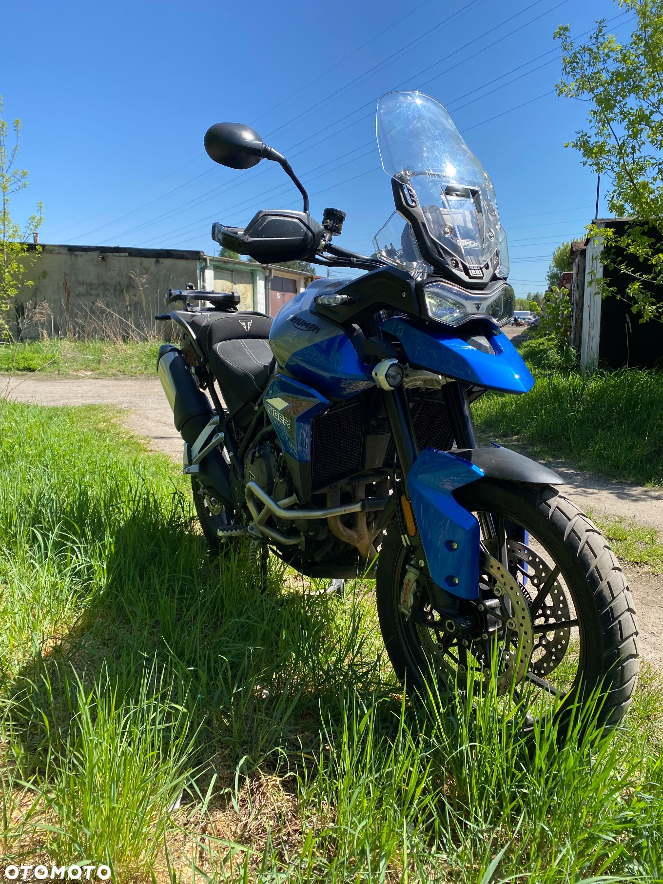 Triumph Tiger