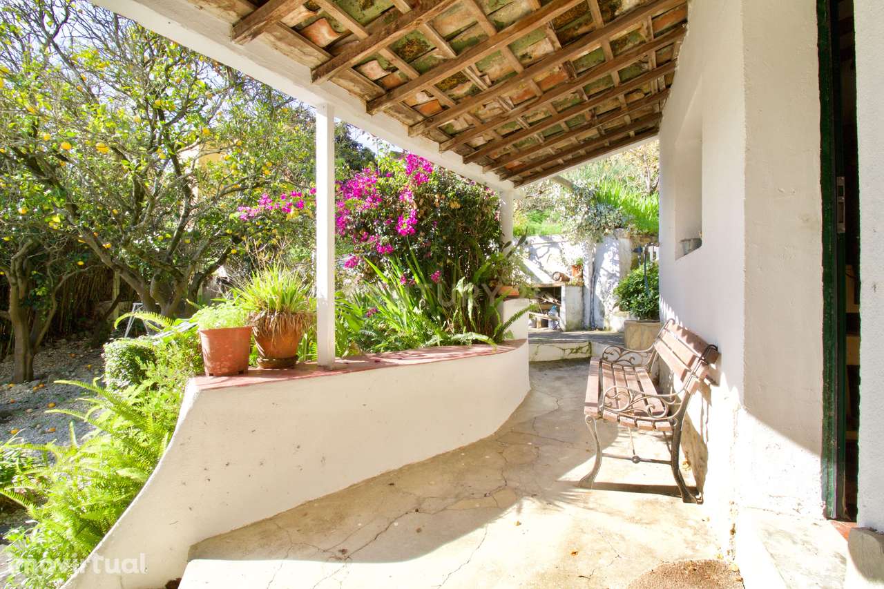 Moradia T3 - Combinação de história, natureza e potencial de desenvolv - Grande imagem: 5/60