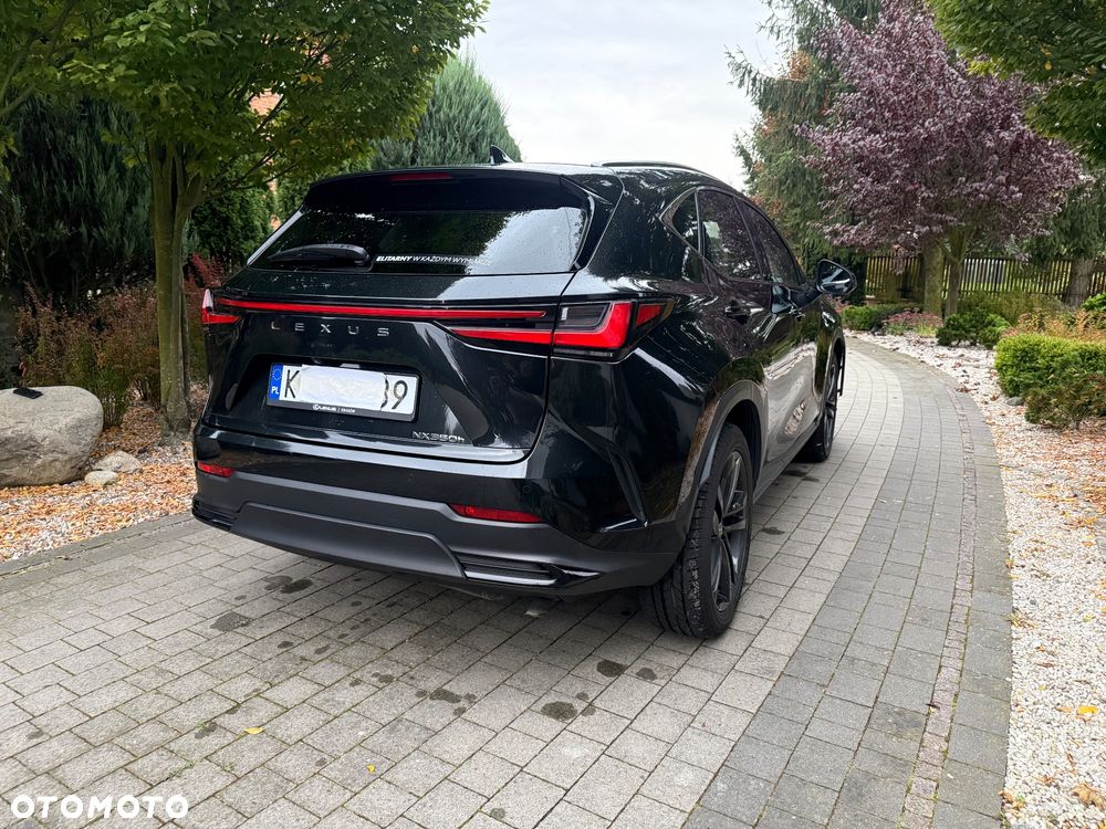 Lexus NX 350h Prestige AWD - 11