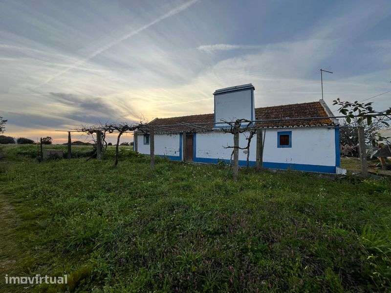 Terreno para venda 8713m2 em Pinheirinhos, Melides
