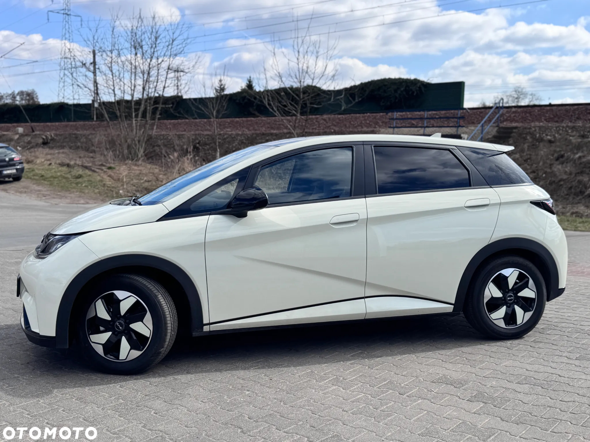 BYD Dolphin Comfort - 3