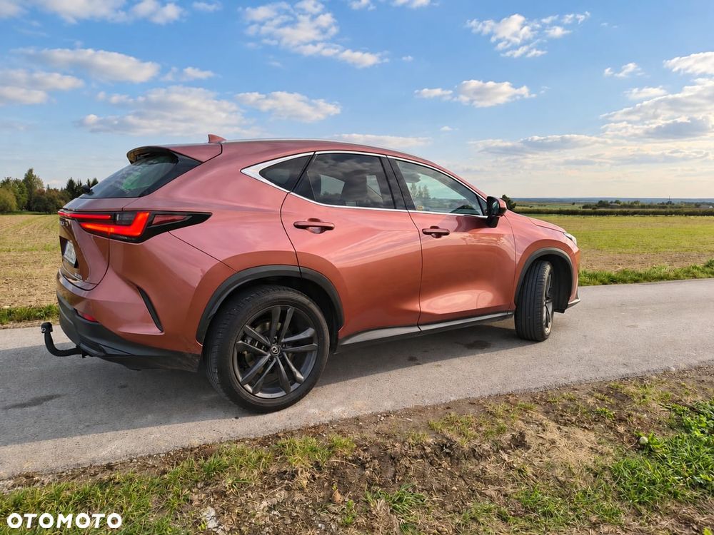 Lexus NX - 3