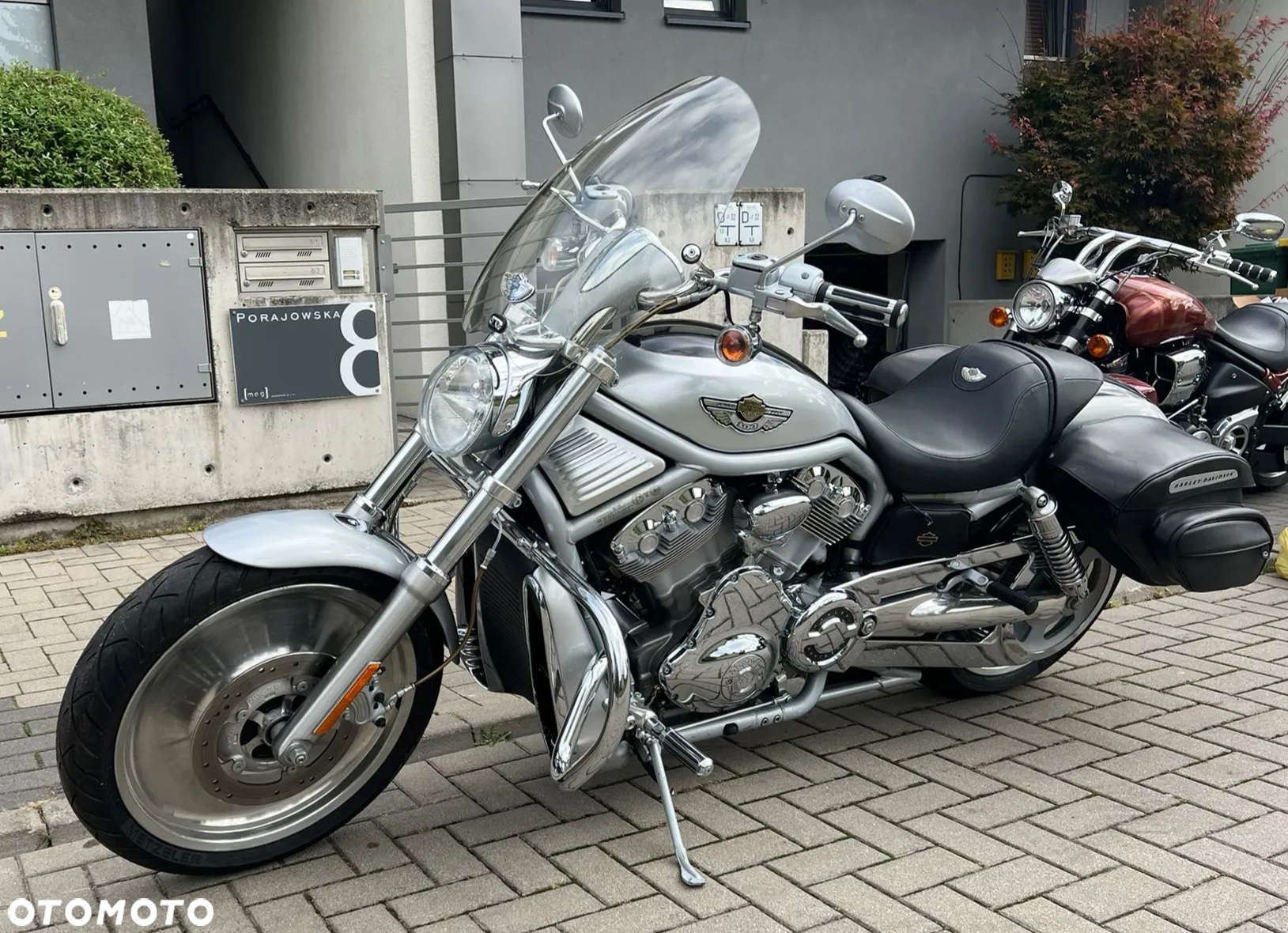 Harley-Davidson Softail V-Rod - 9