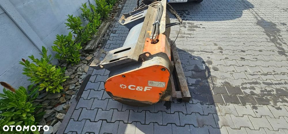 Bobcat - 1