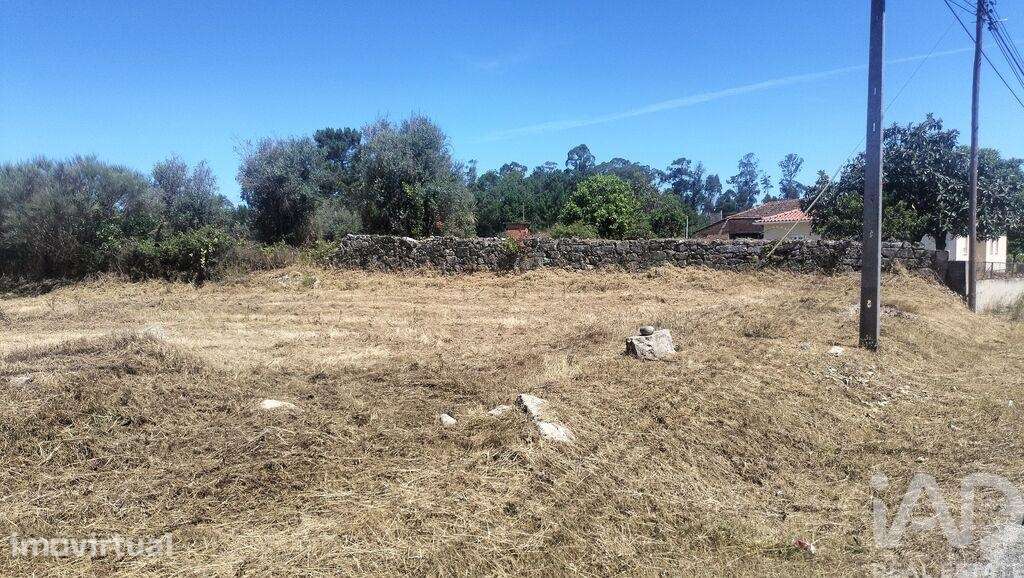 Terreno Agrícola em Canas de Santa Maria - Grande imagem: 4/28