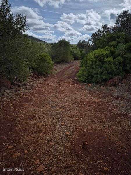Terreno Rústico 1280m² em S. B. Messines - Grande imagem: 2/11