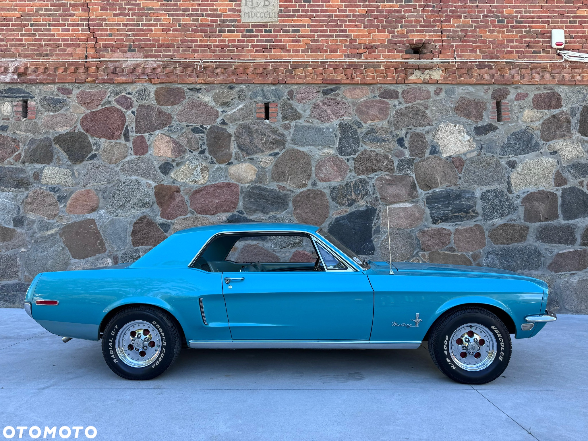 Ford Mustang - 6