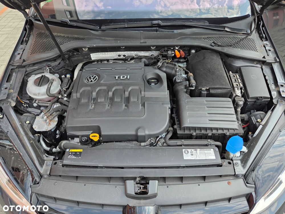 Volkswagen Golf 1.6 TDI BlueMotion Technology Cup - 33