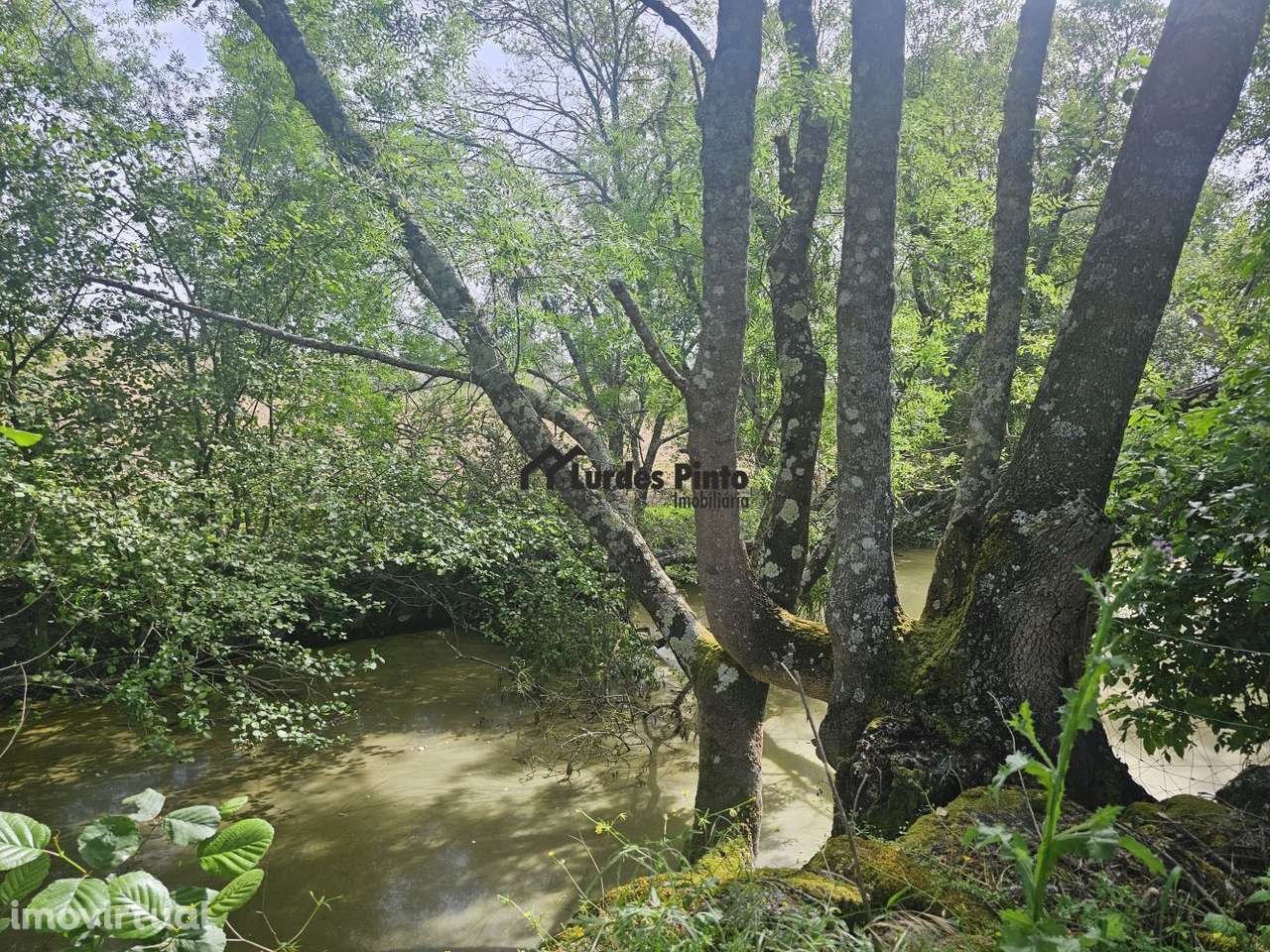 Quinta à beira do Rio Ocreza - Grande imagem: 2/31