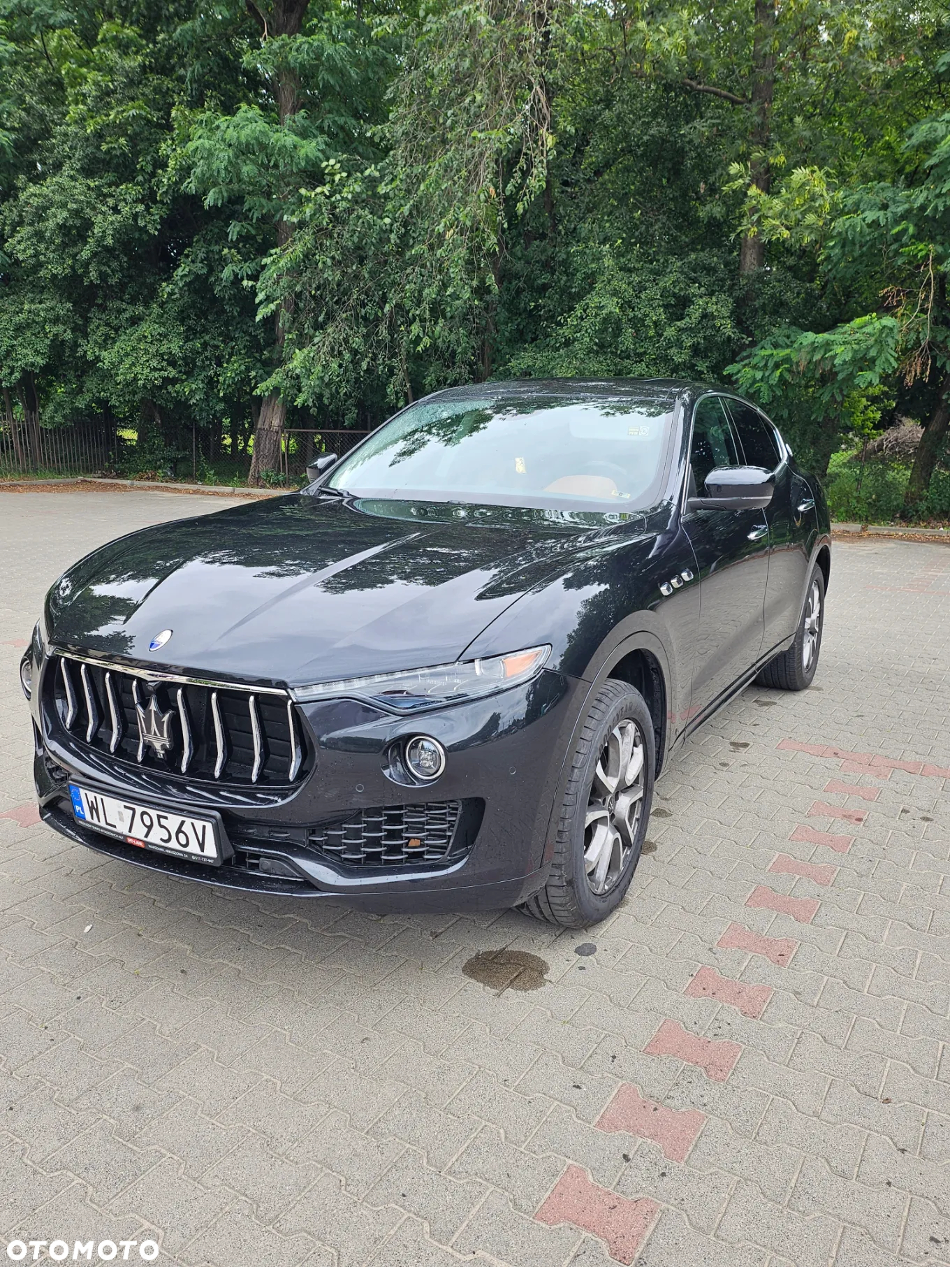 Maserati Levante Standard - 4