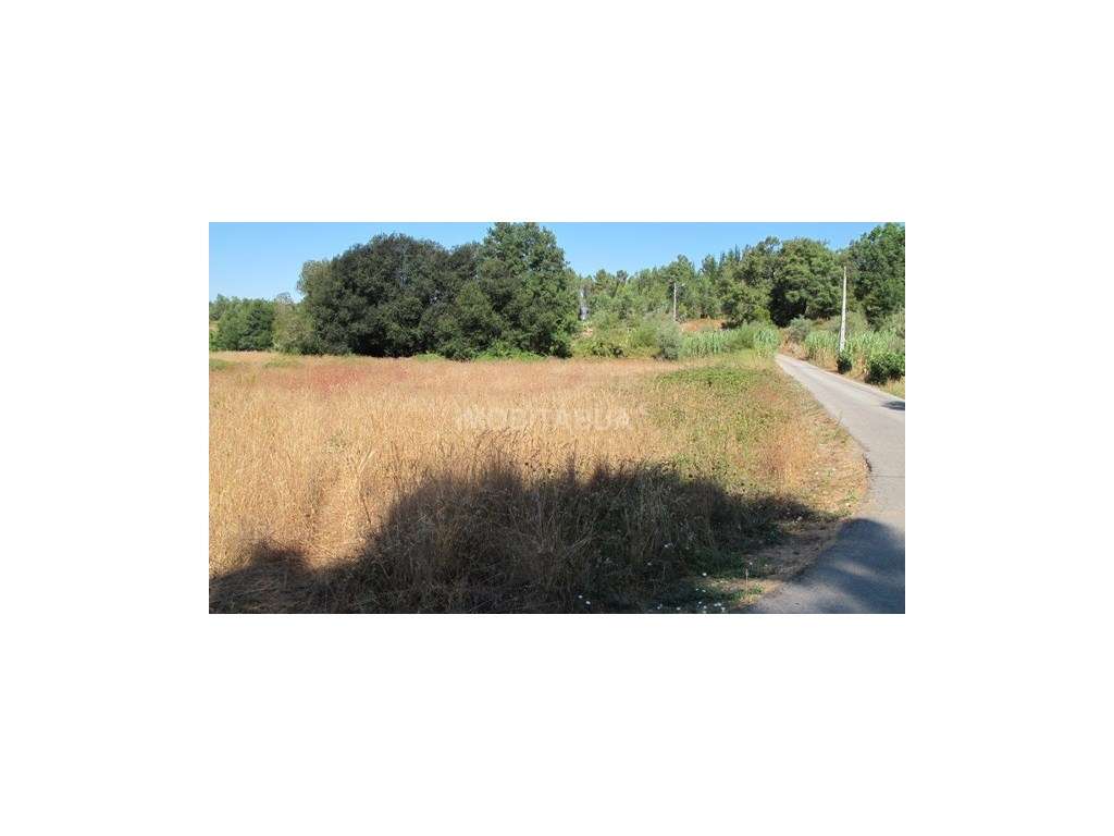 Lote para construção com 6,675 m2 - Grande imagem: 4/4