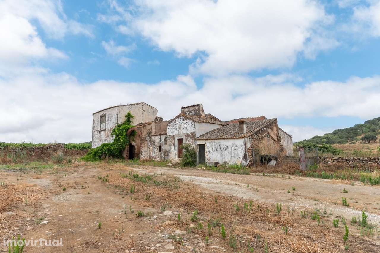 Terreno Misto 96.5 ha, Ciladas, Vila Viçosa - Grande imagem: 5/24