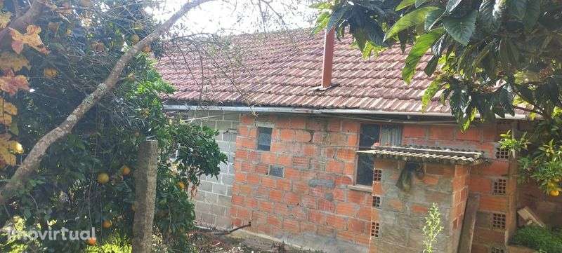 Quinta com casa habitação em Sabugosa-Tondela Tondela - Grande imagem: 4/12