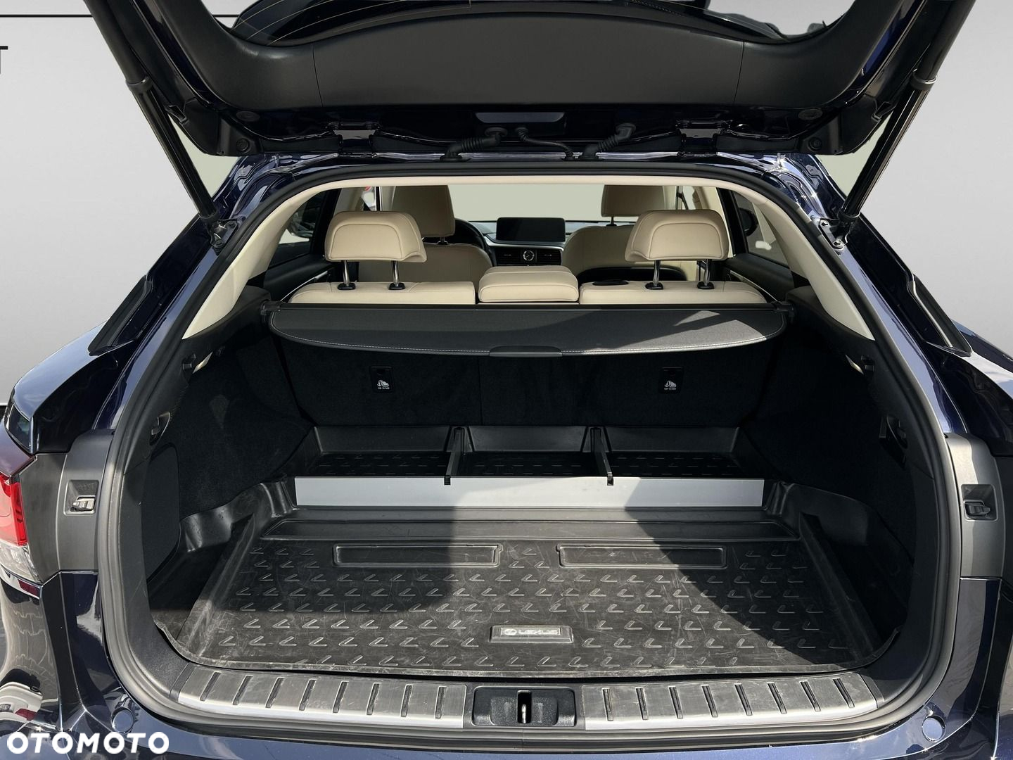 Lexus RX - 20