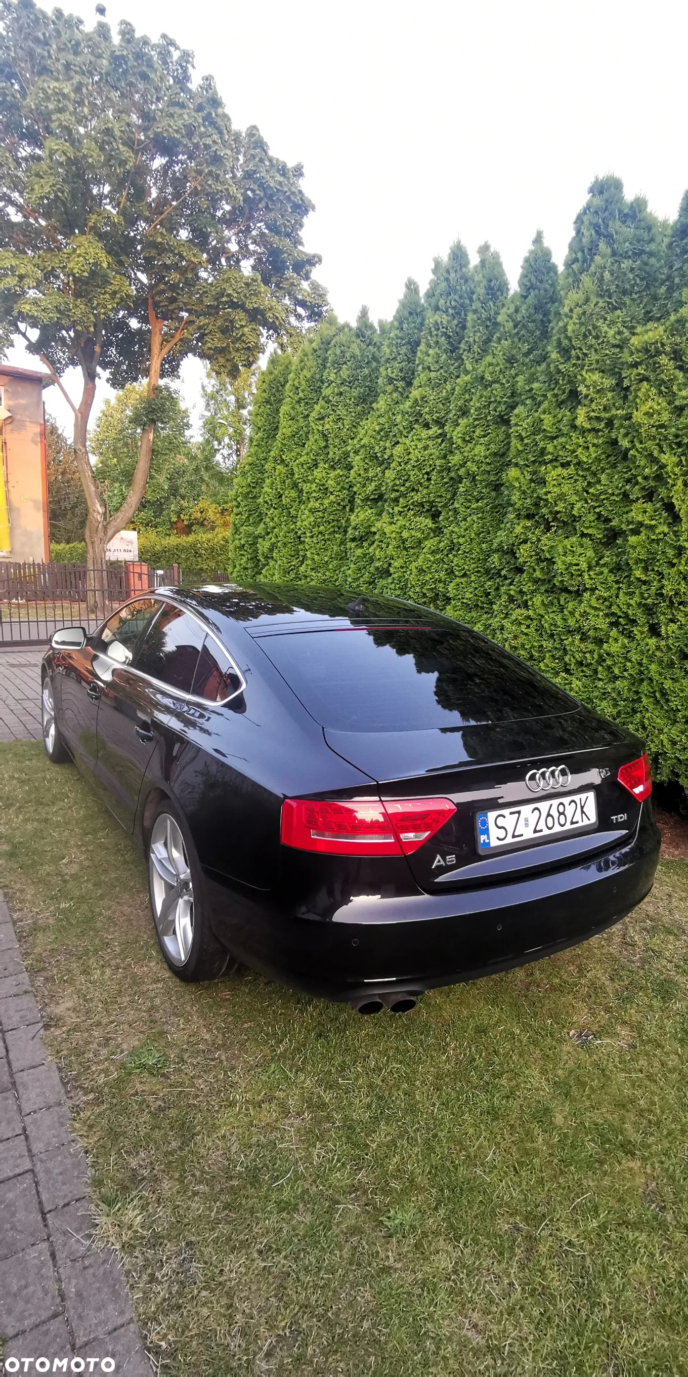 Audi A5 - 5
