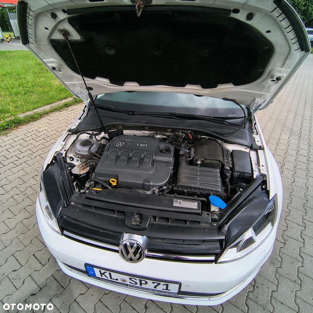 Volkswagen Golf Variant 1.6 TDI BlueMotion Technology Allstar - 22